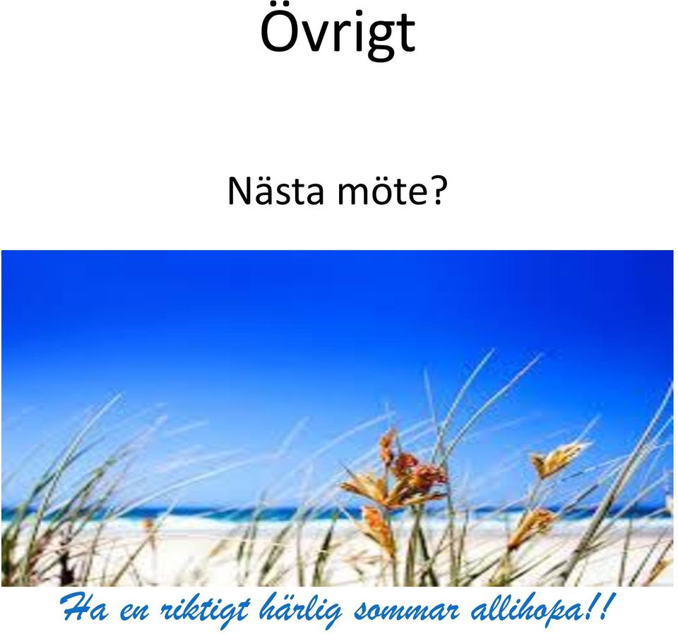 riktigt härlig