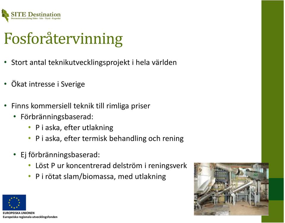 aska, efter utlakning P i aska, efter termisk behandling och rening Ej