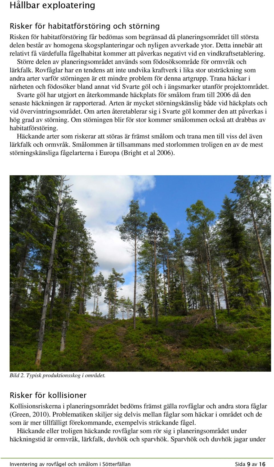 Större delen av planeringsområdet används som födosöksområde för ormvråk och lärkfalk.