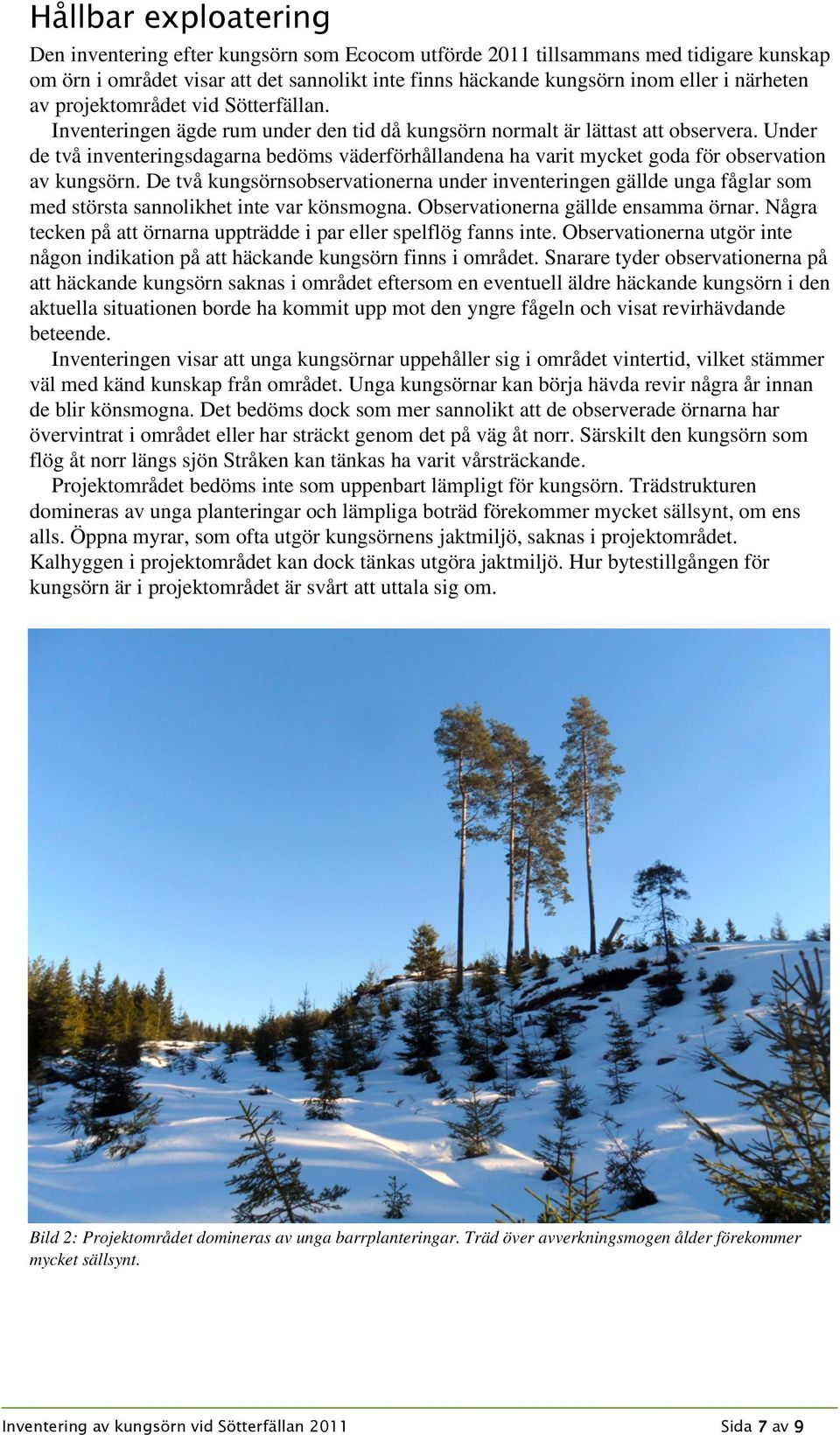 Under de två inventeringsdagarna bedöms väderförhållandena ha varit mycket goda för observation av kungsörn.