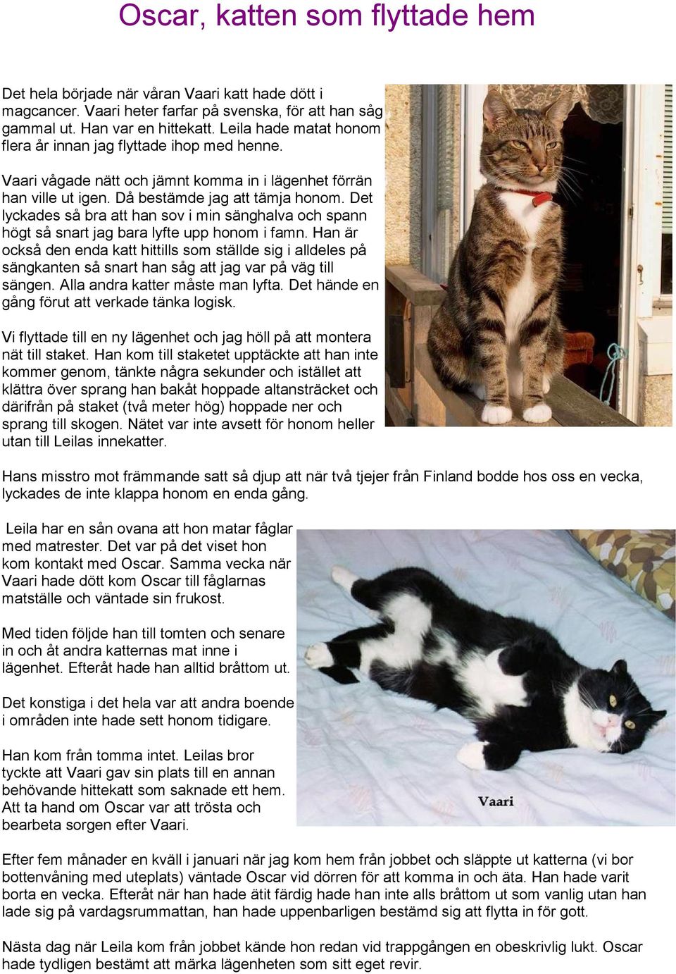 Det lyckades så bra att han sov i min sänghalva och spann högt så snart jag bara lyfte upp honom i famn.
