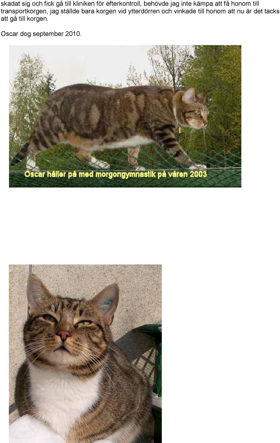 jag ställde bara korgen vid ytterdörren och vinkade till