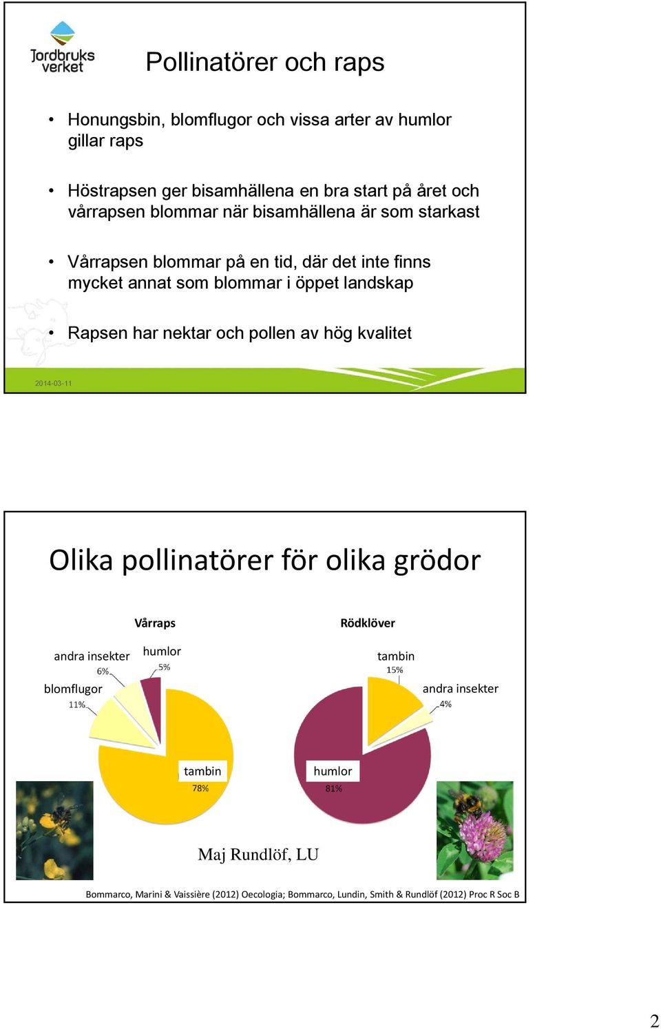 landskap Rapsen har nektar och pollen av hög kvalitet Olika pollinatörer för olika grödor andra insekter Vårraps humlor Rödklöver tambin