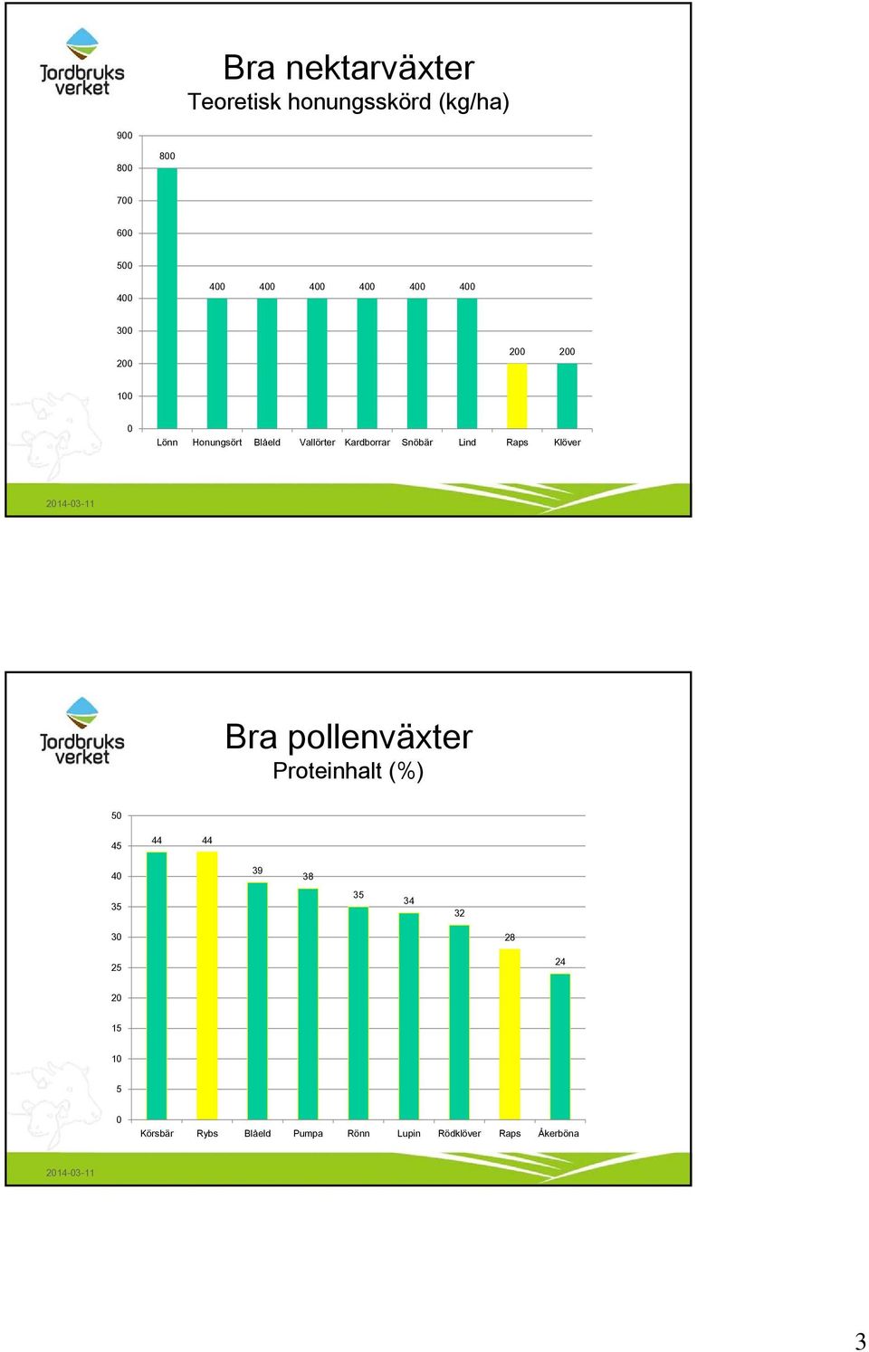 Snöbär Lind Raps Klöver Bra pollenväxter Proteinhalt (%) 50 45 44 44 40 39 38 35 35