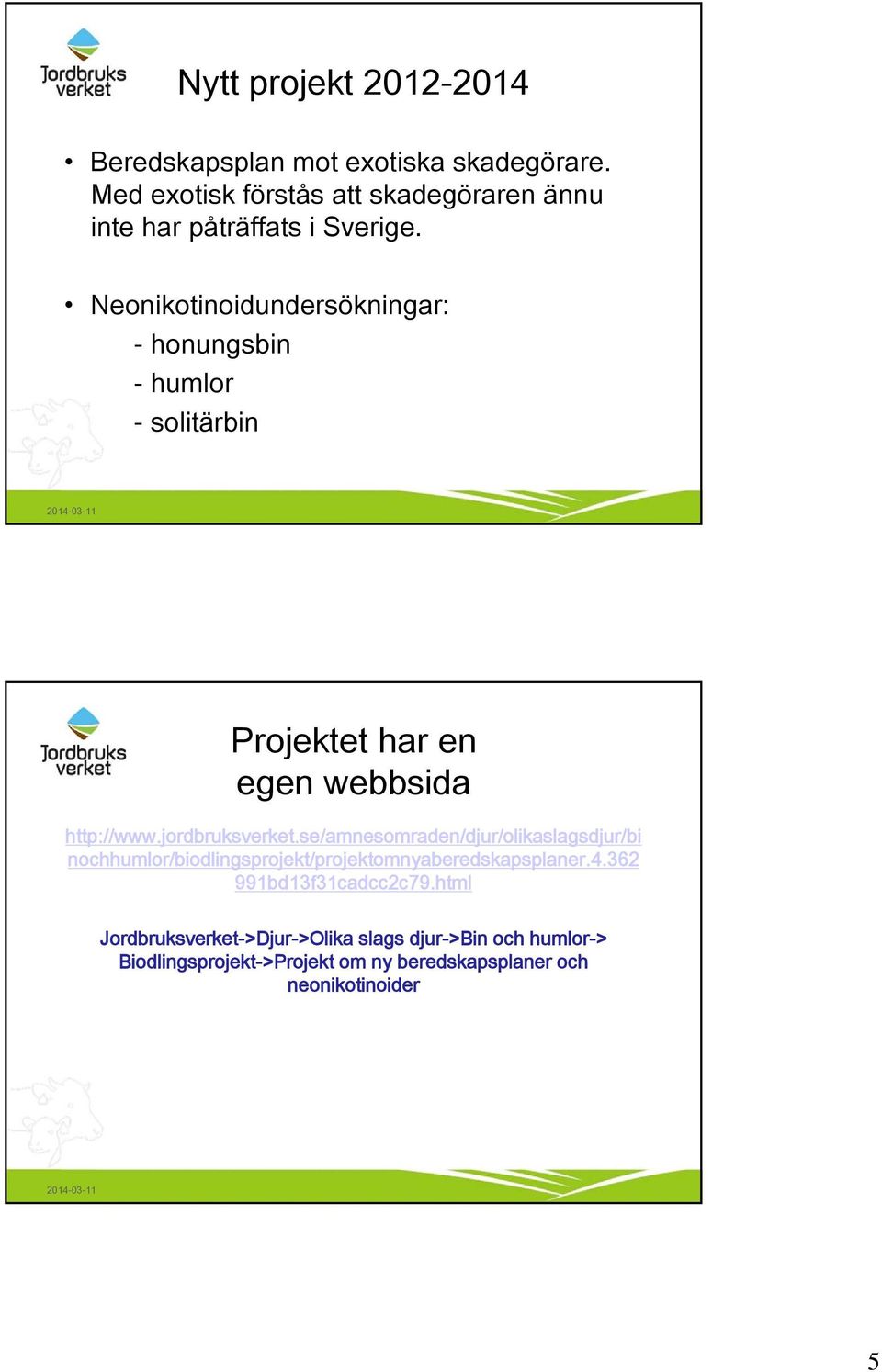 Neonikotinoidundersökningar: - honungsbin - humlor - solitärbin Projektet har en egen webbsida http://www.jordbruksverket.