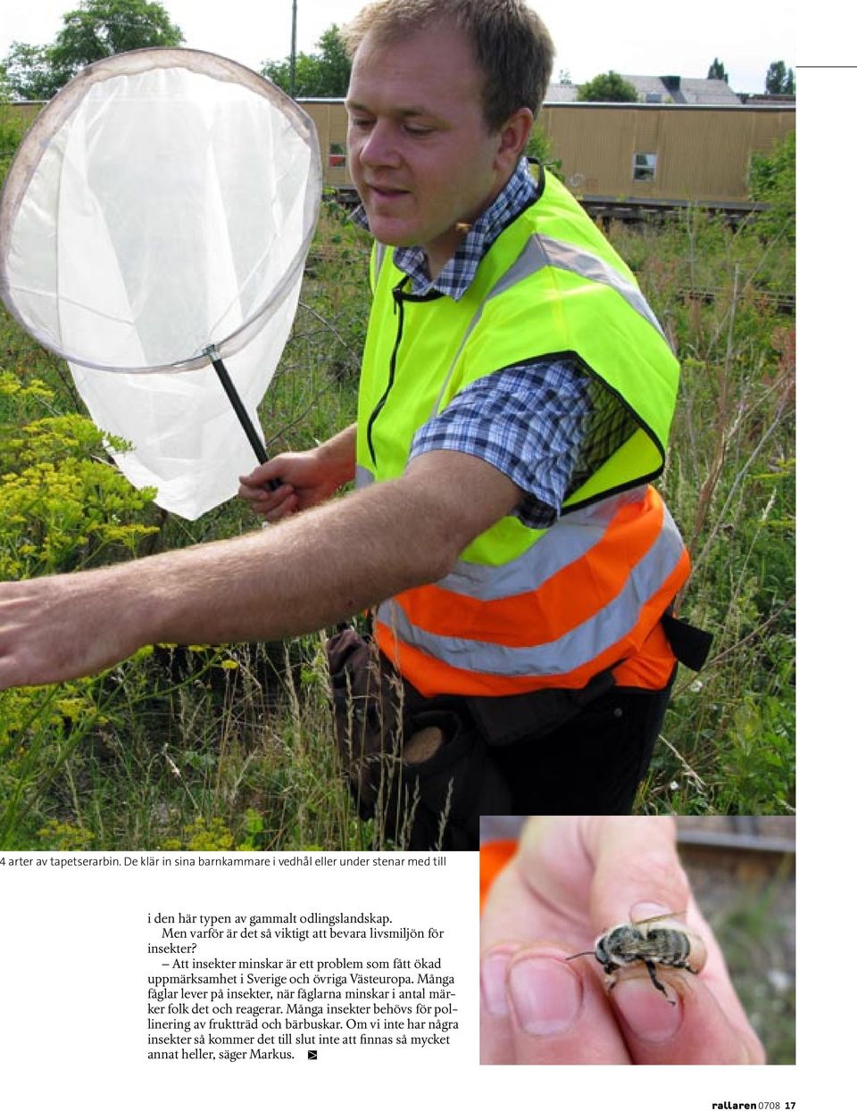 Att insekter minskar är ett problem som fått ökad uppmärksamhet i Sverige och övriga Västeuropa.