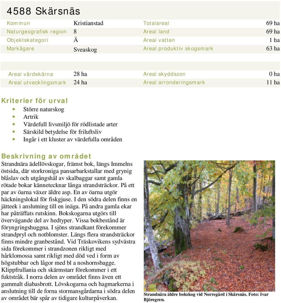 friluftsliv Ingår i ett kluster av värdefulla områden Beskrivning av området Strandnära ädellövskogar, främst bok, längs Immelns östsida, där storkroniga pansarbarkstallar med grynig blåslav och