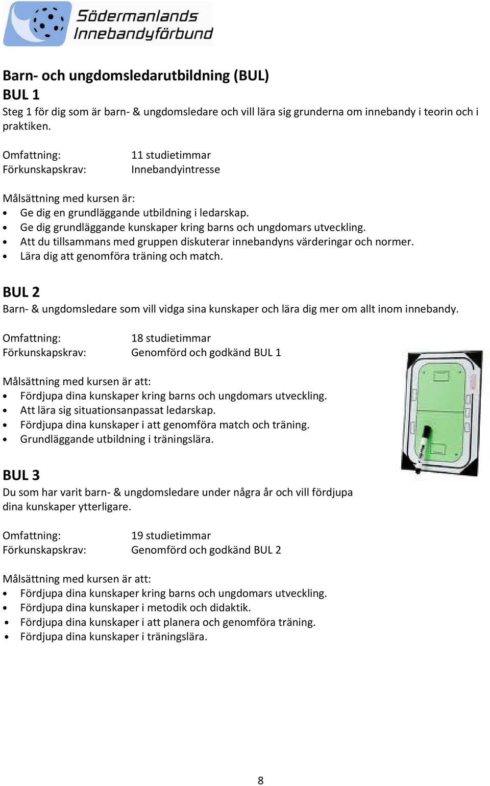 Att du tillsammans med gruppen diskuterar innebandyns värderingar och normer. Lära dig att genomföra träning och match.