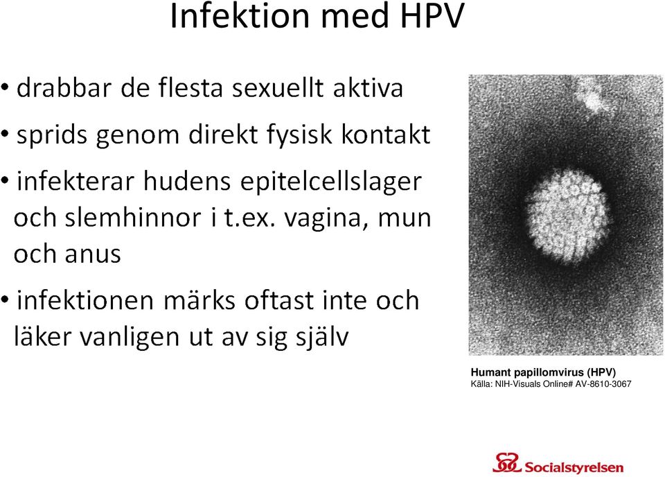 (HPV) Källa: