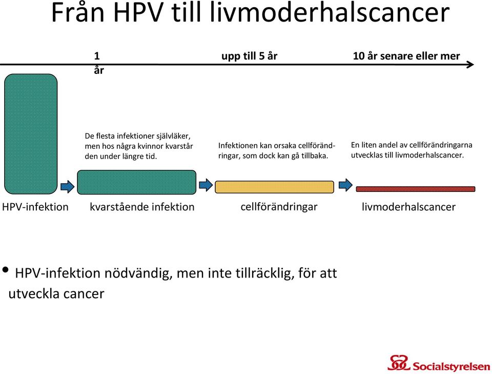 Infektionen kan orsaka cellförändringar, som dock kan gå tillbaka.