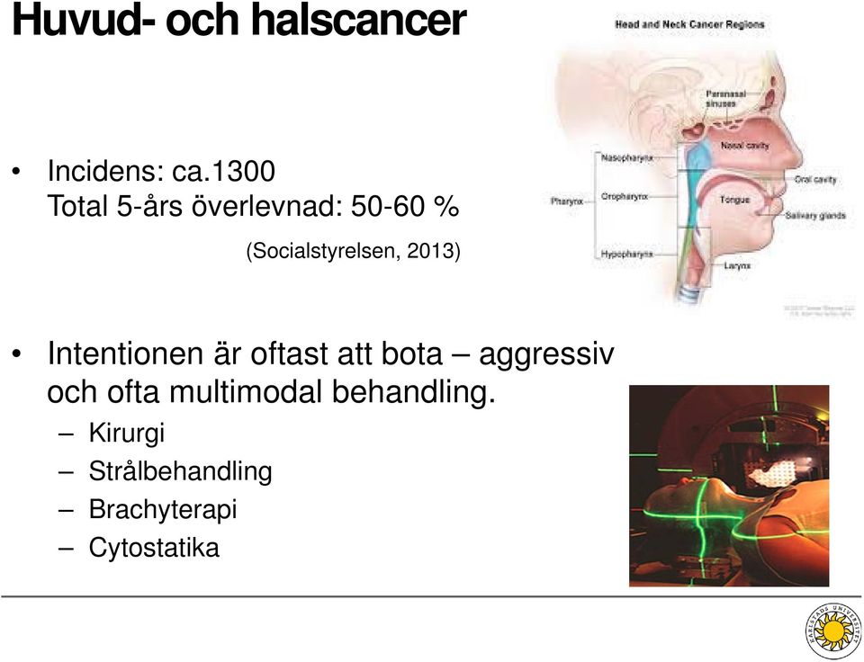 2013) Intentionen är oftast att bota aggressiv och