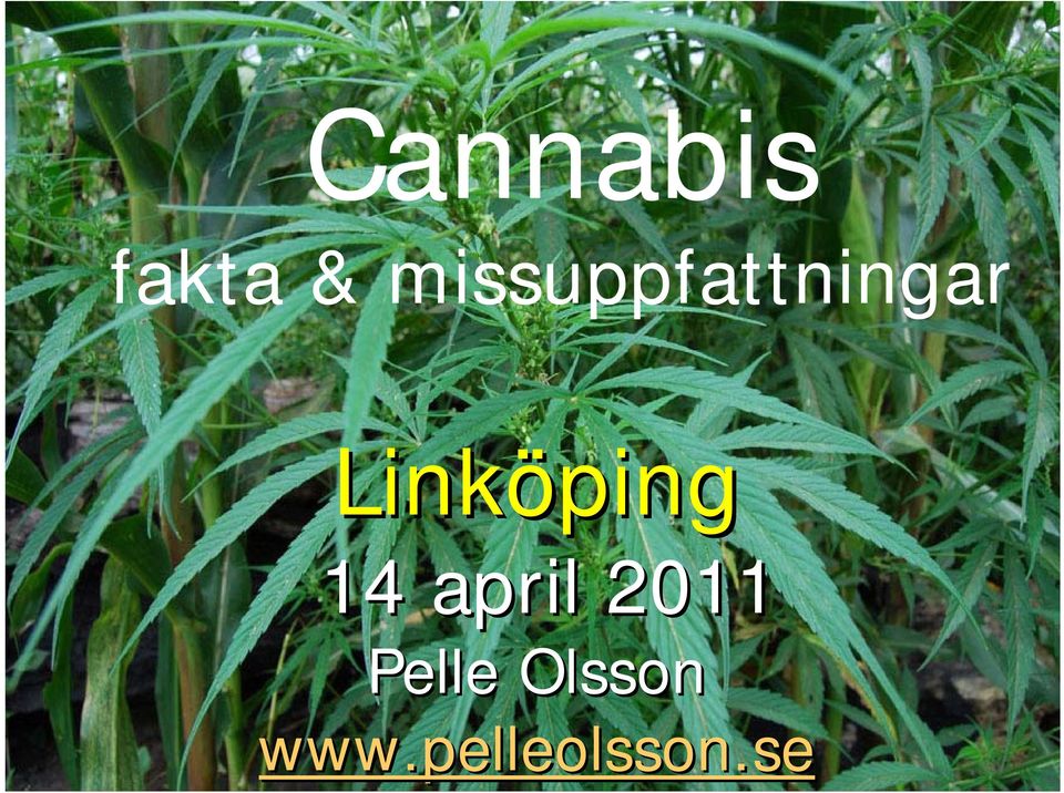 Linköping 14 april