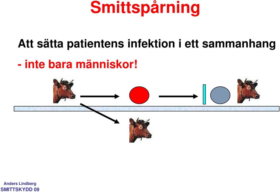 infektion i ett