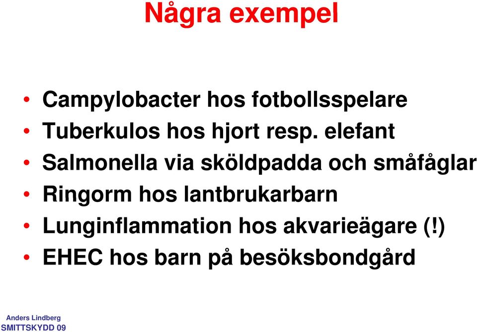 elefant Salmonella via sköldpadda och småfåglar