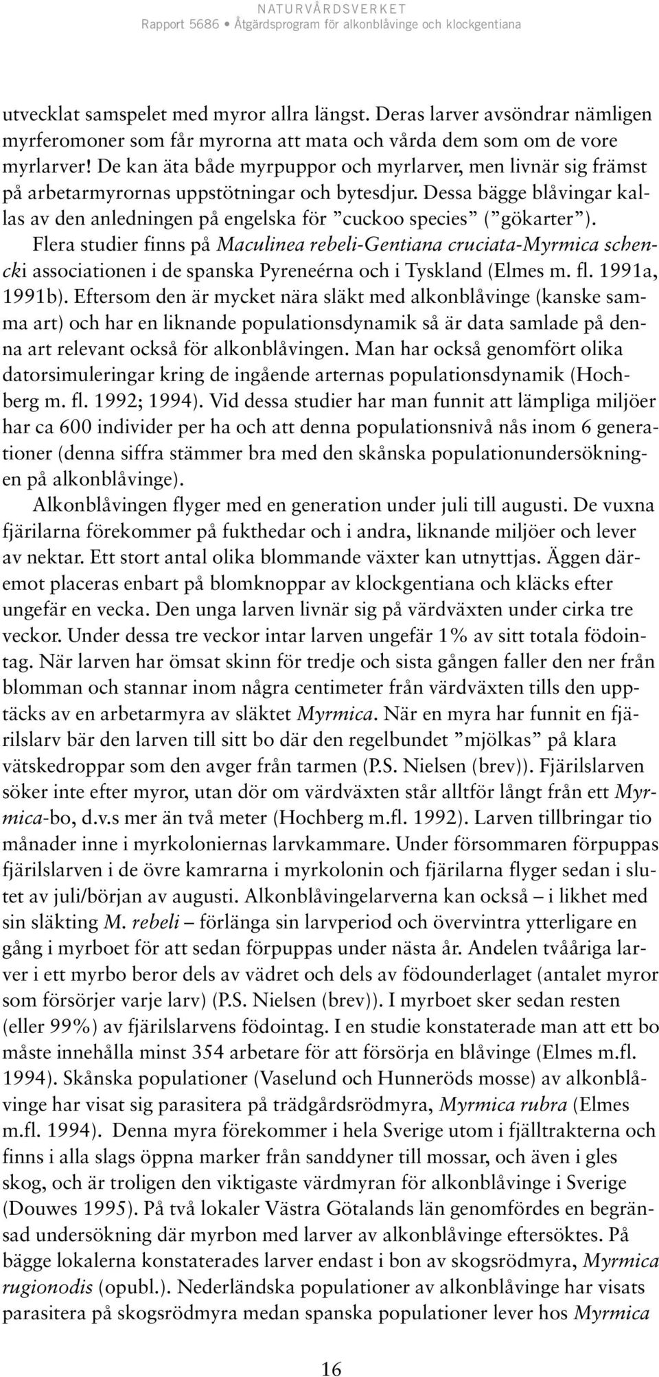 Dessa bägge blåvingar kallas av den anledningen på engelska för cuckoo species ( gökarter ).