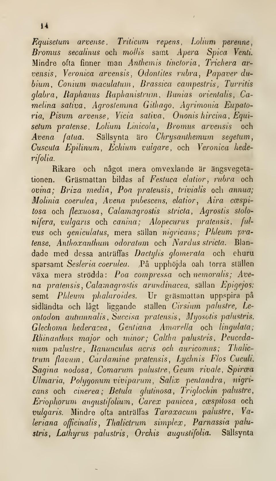 Bunias orienlalis, Camelina saliva, Agroslemma Gilhago, Agnmonia Eupatoria, Pisum arvense, Vicia saliva, Ononis hircina, Equisetum pralense. Lolium Linicola, Bromus arvensis och Avena falua.