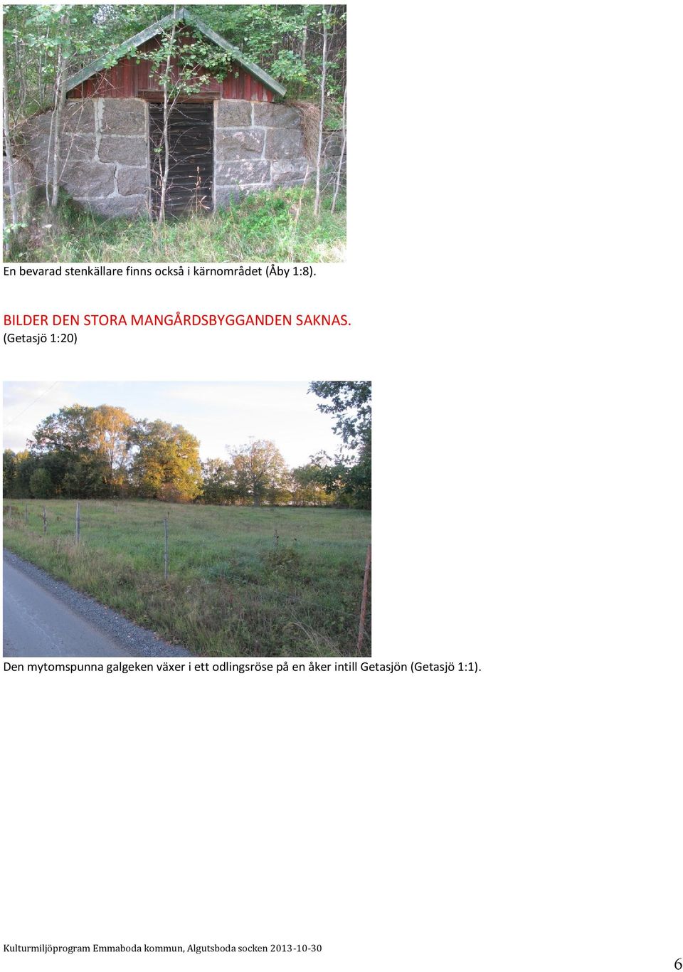 (Getasjö 1:20) Den mytomspunna galgeken växer i ett