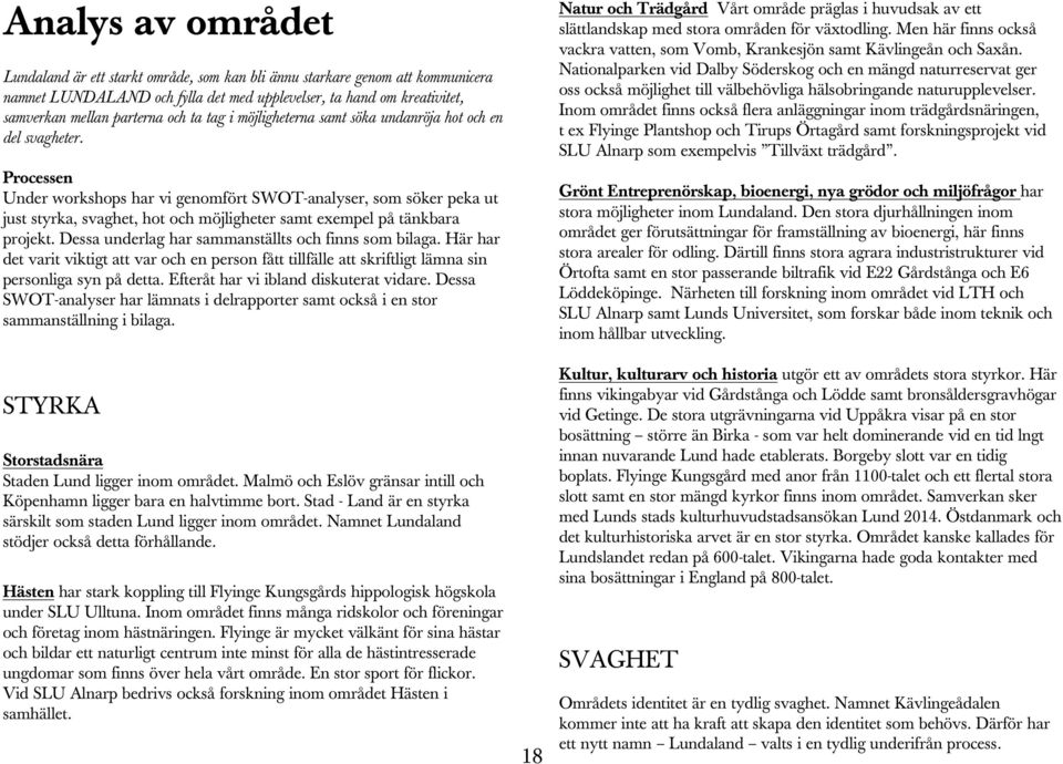 Processen Under workshops har vi genomfört SWOT-analyser, som söker peka ut just styrka, svaghet, hot och möjligheter samt exempel på tänkbara projekt.