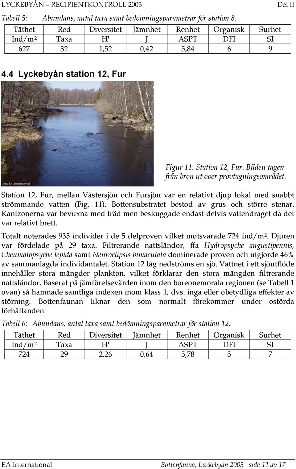 Station 12, Fur, mellan Västersjön och Fursjön var en relativt djup lokal med snabbt strömmande vatten (Fig. 11). Bottensubstratet bestod av grus och större stenar.