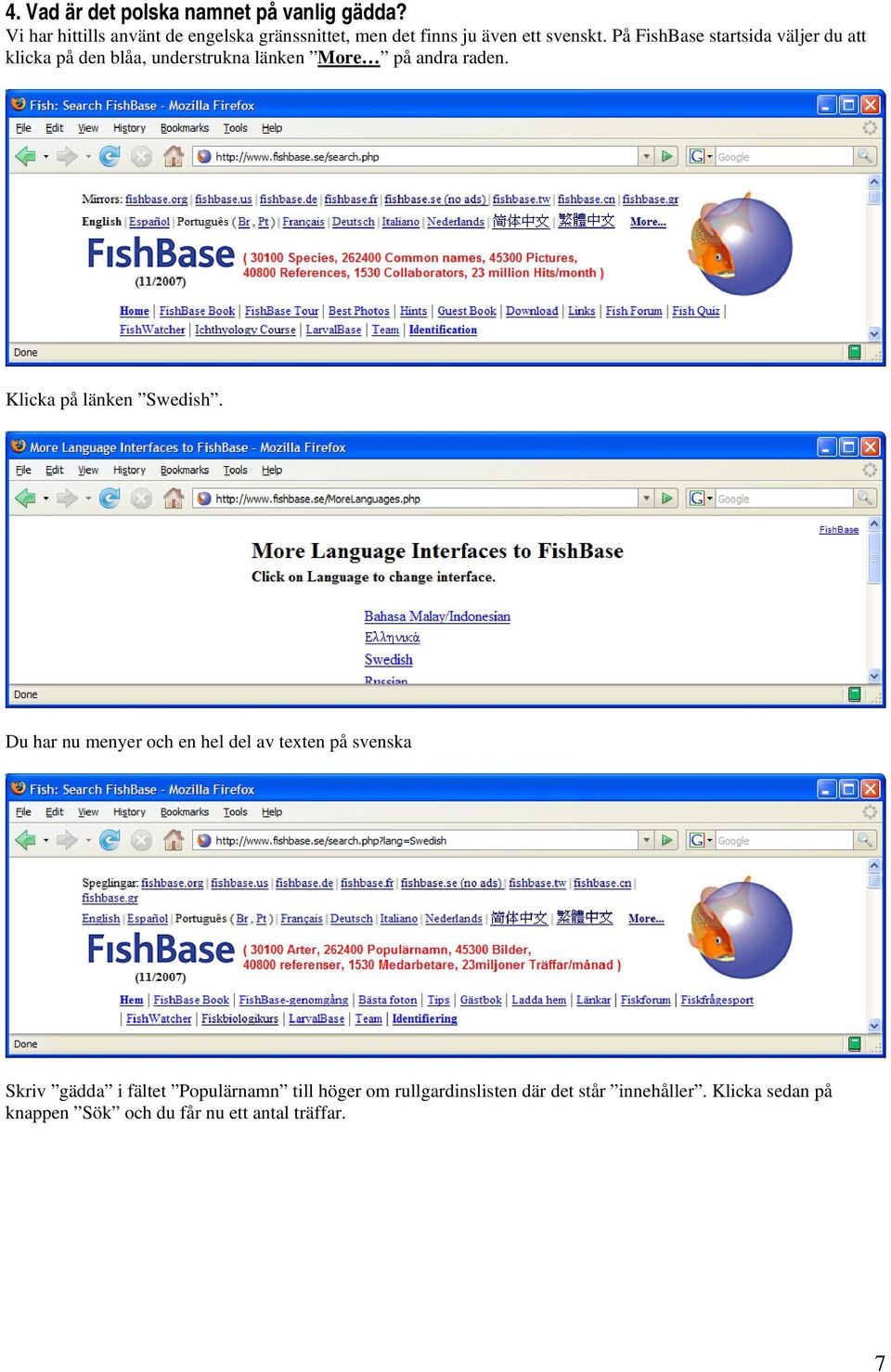 På FishBase startsida väljer du att klicka på den blåa, understrukna länken More på andra raden.