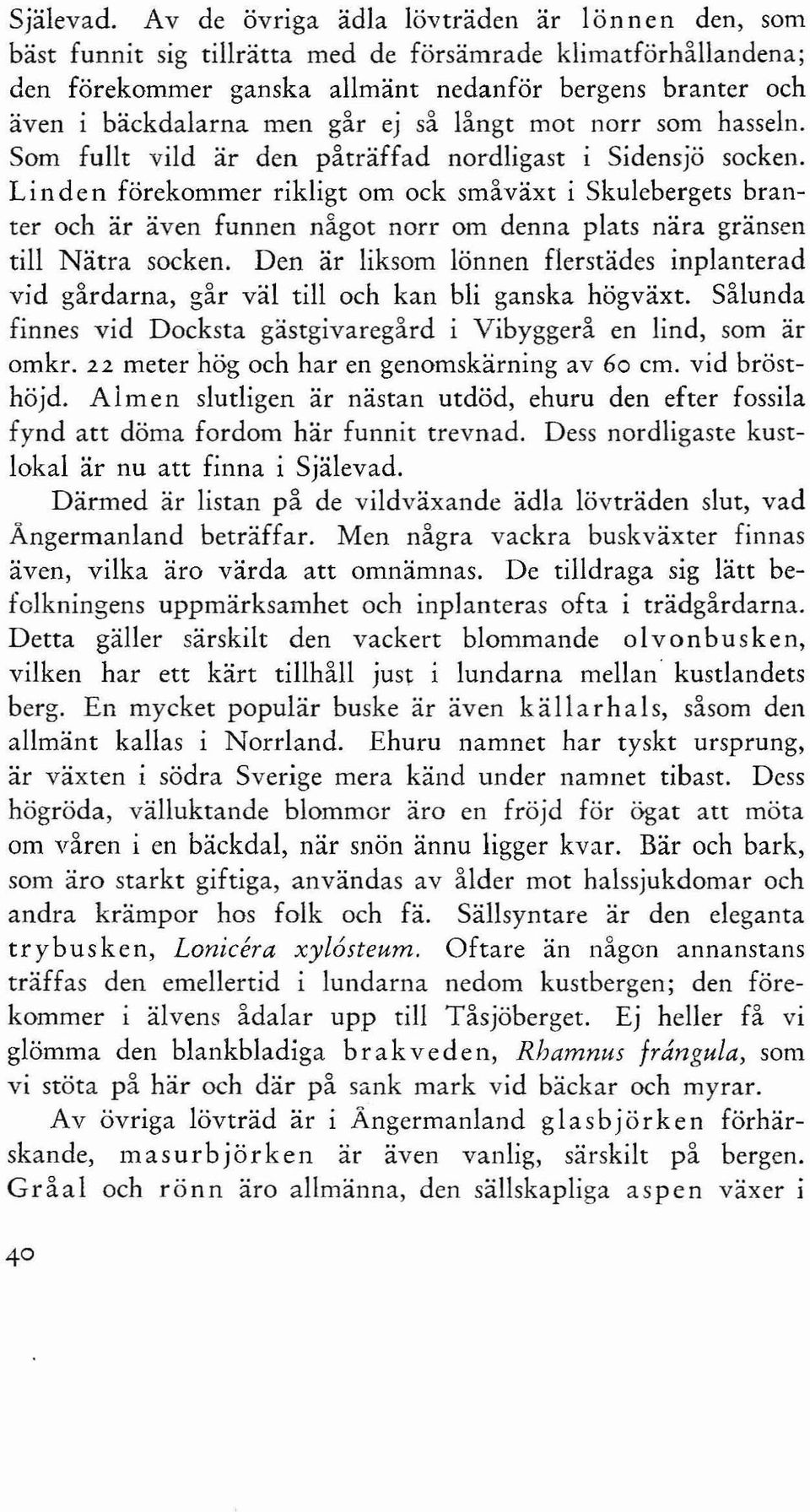 ej så långt mot norr som hasseln. Som fullt vild är den påträffad nordligast i Sidensjö socken.