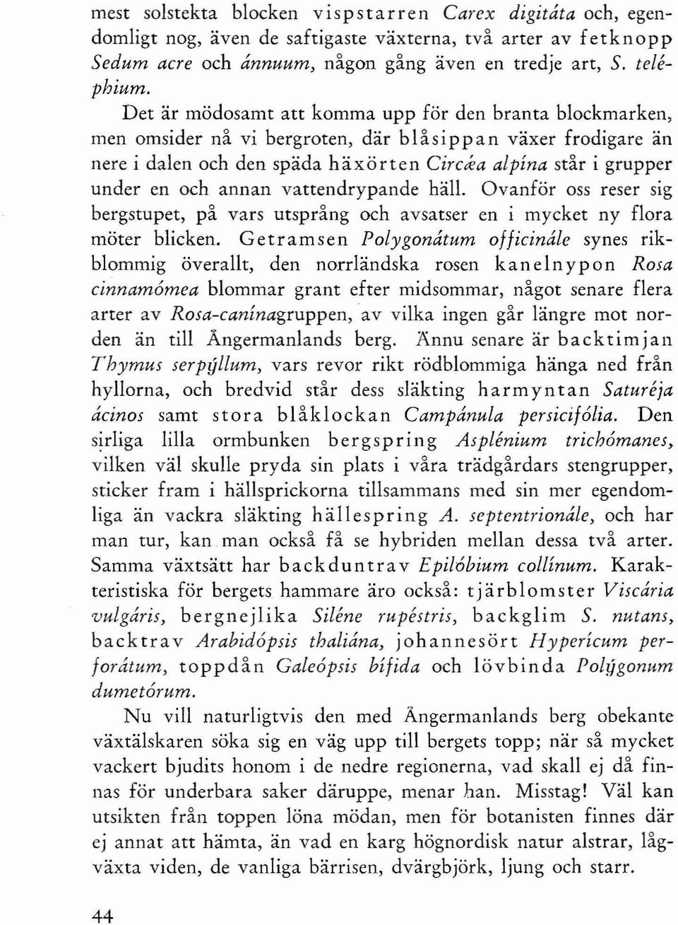 ea alpina står i grupper under en och annan vattendrypande häll. Ovanför oss reser sig bergstupet. på vars utsprång och avsatser en i mycket ny flora möter blicken.