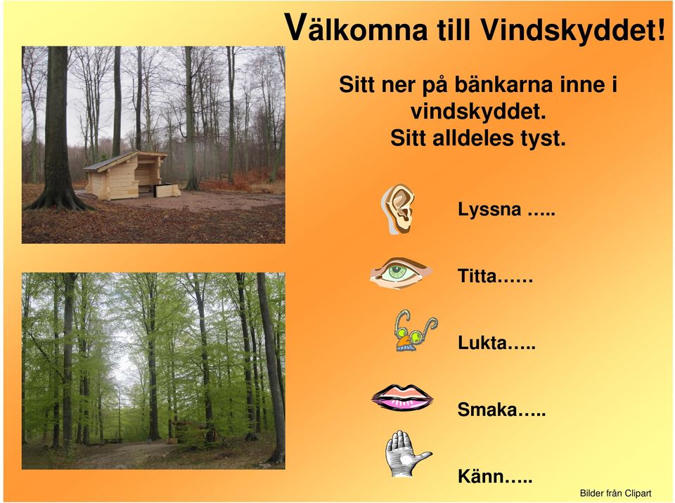 vindskyddet. Sitt alldeles tyst.