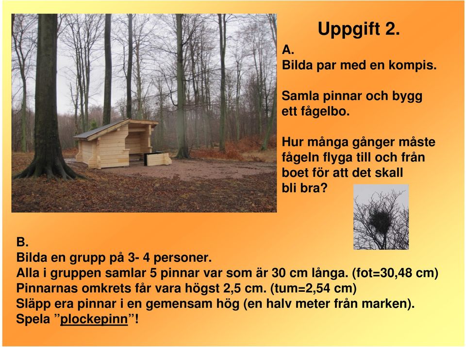 Bilda en grupp på 3-4 personer. Alla i gruppen samlar 5 pinnar var som är 30 cm långa.