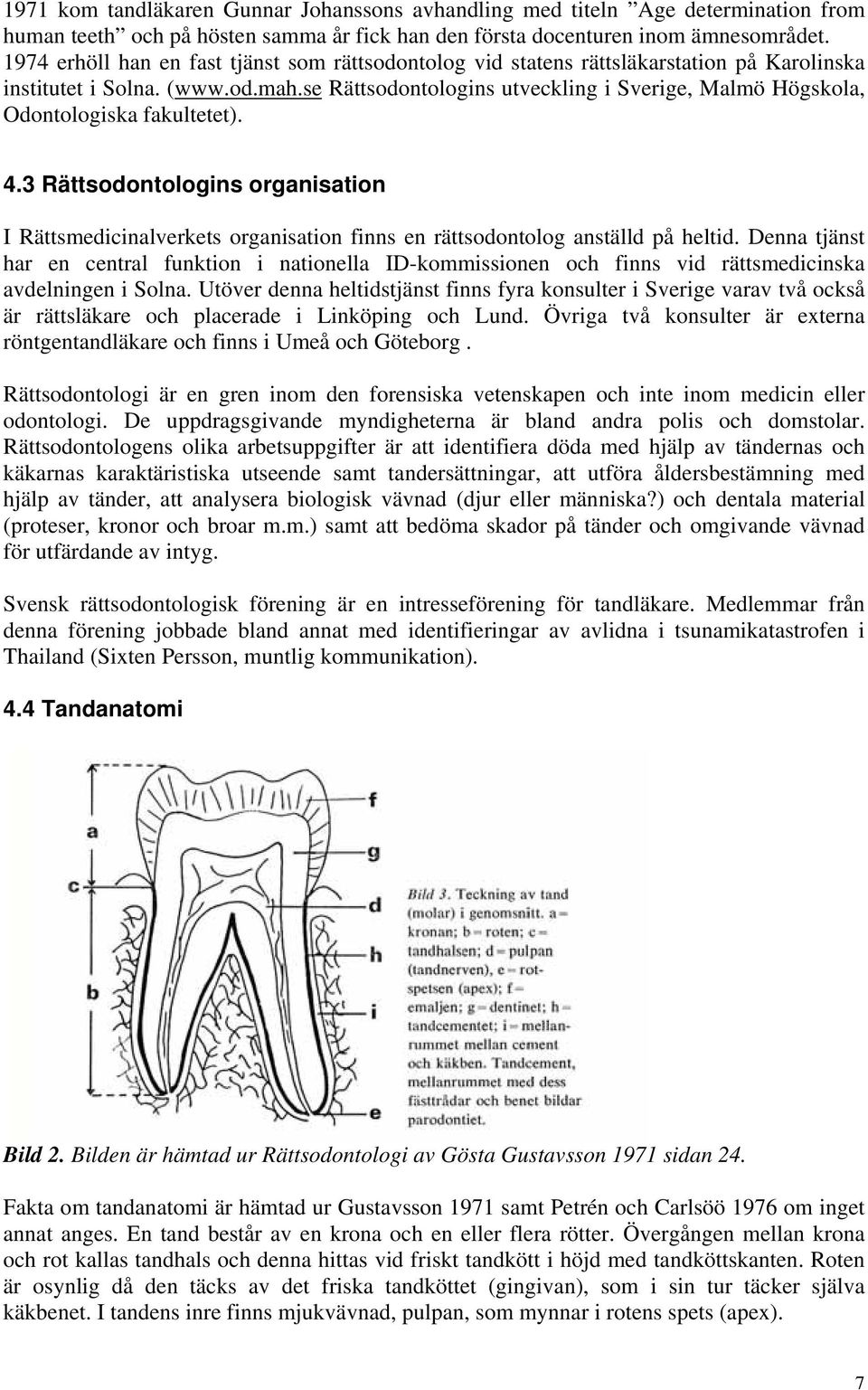 se Rättsodontologins utveckling i Sverige, Malmö Högskola, Odontologiska fakultetet). 4.