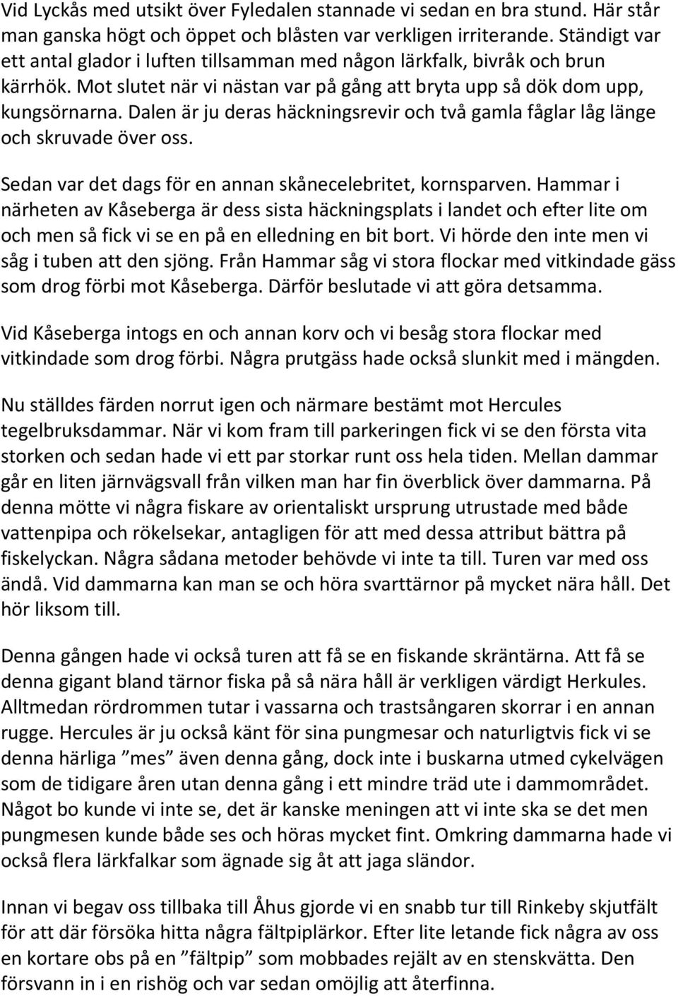Dalen är ju deras häckningsrevir och två gamla fåglar låg länge och skruvade över oss. Sedan var det dags för en annan skånecelebritet, kornsparven.