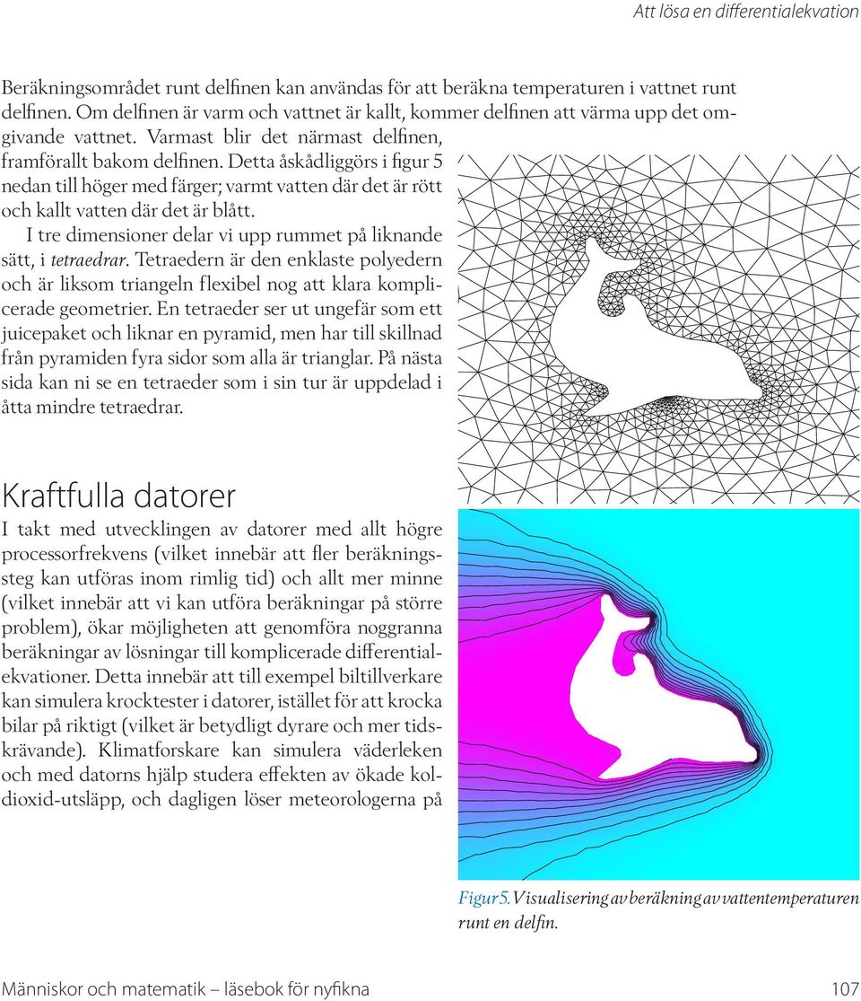 Detta åskådliggörs i figur 5 nedan till höger med färger; varmt vatten där det är rött och kallt vatten där det är blått. I tre dimensioner delar vi upp rummet på liknande sätt, i tetraedrar.