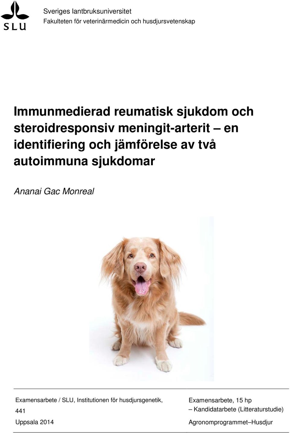 jämförelse av två autoimmuna sjukdomar Ananai Gac Monreal Examensarbete / SLU, Institutionen för