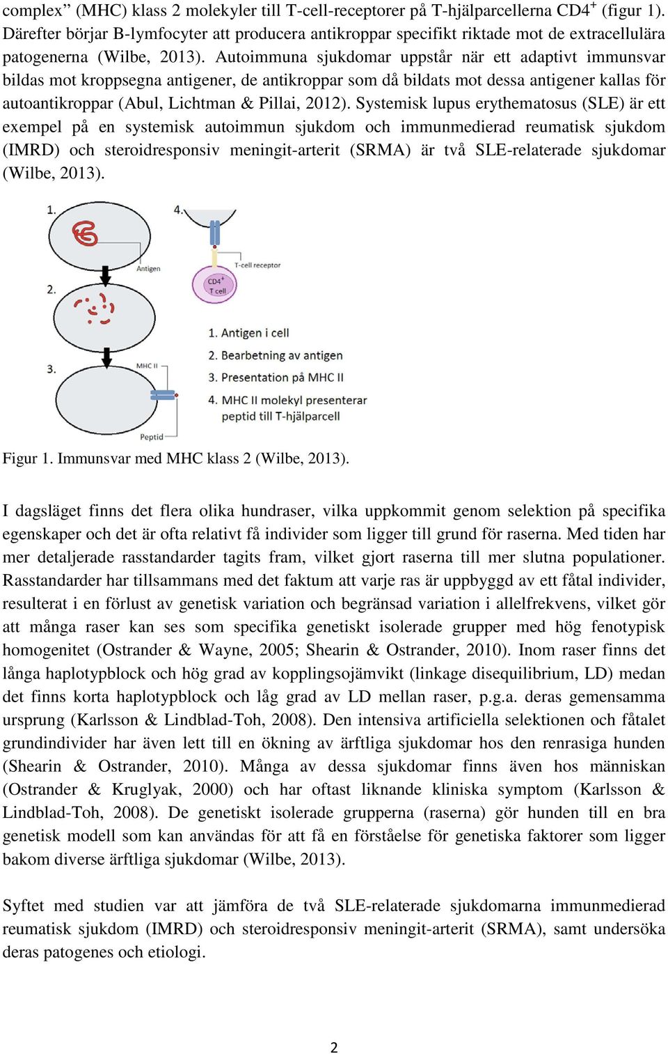 Autoimmuna sjukdomar uppstår när ett adaptivt immunsvar bildas mot kroppsegna antigener, de antikroppar som då bildats mot dessa antigener kallas för autoantikroppar (Abul, Lichtman & Pillai, 2012).