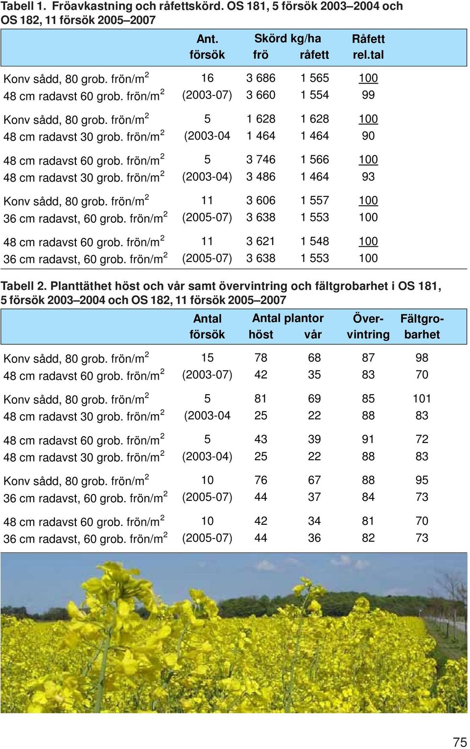 frön/m 2 (2003-04 1 464 1 464 90 48 cm radavst 60 grob. frön/m 2 5 3 746 1 566 100 48 cm radavst 30 grob. frön/m 2 (2003-04) 3 486 1 464 93 Konv sådd, 80 grob.