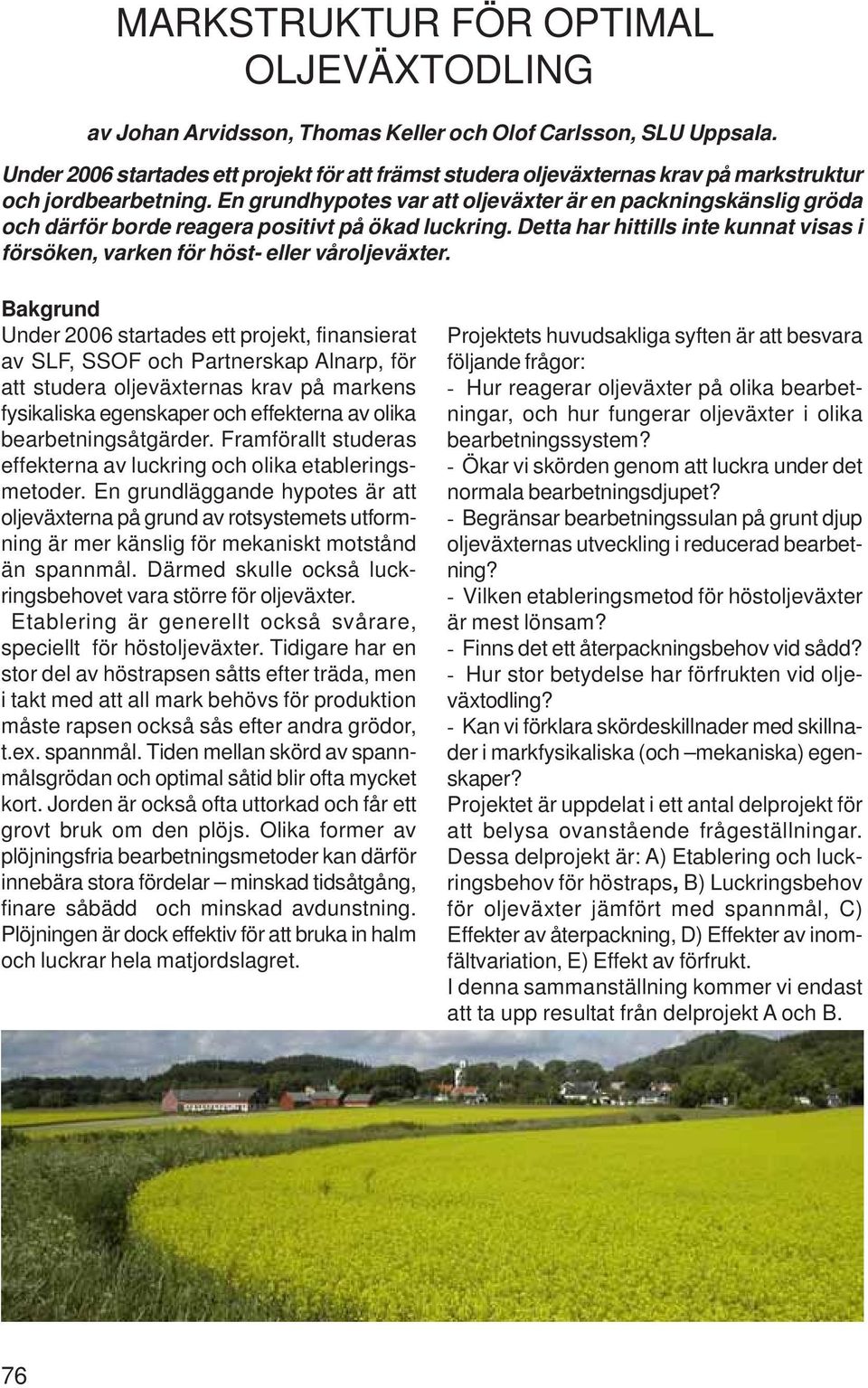 En grundhypotes var att oljeväxter är en packningskänslig gröda och därför borde reagera positivt på ökad luckring.