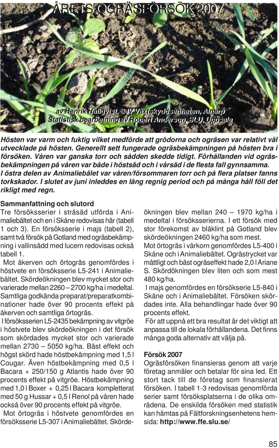 Förhållanden vid ogräsbekämpningen på våren var både i höstsäd och i vårsäd i de flesta fall gynnsamma. I östra delen av Animaliebälet var våren/försommaren torr och på flera platser fanns torkskador.