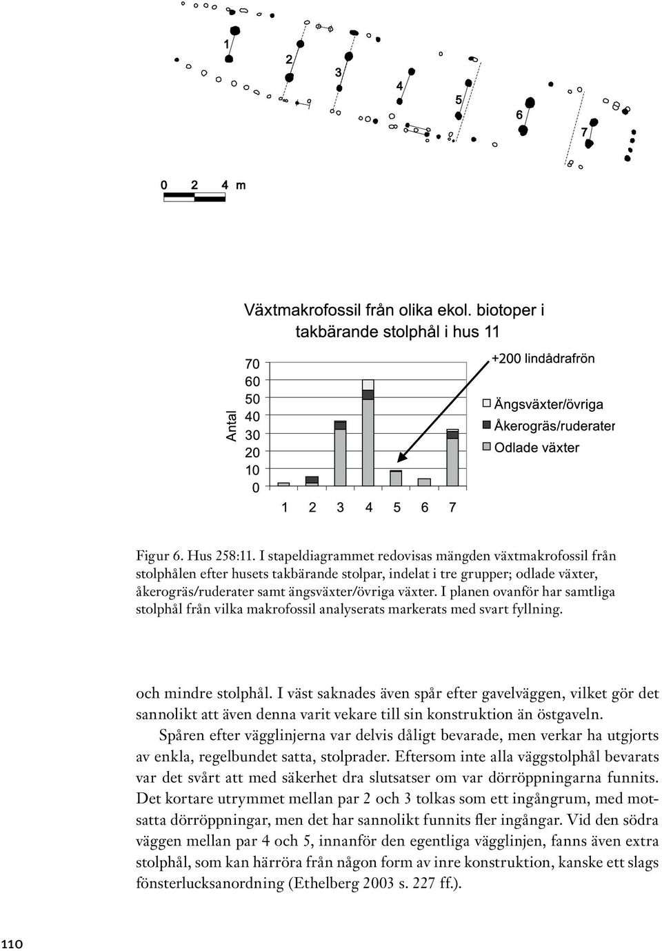 I planen ovanför har samtliga stolphål från vilka makrofossil analyserats markerats med svart fyllning. och mindre stolphål.