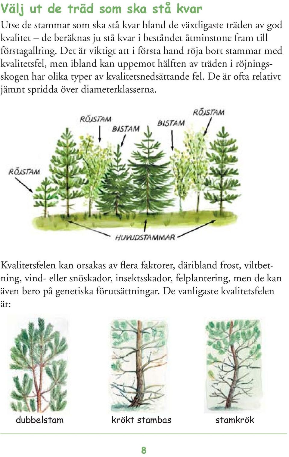 Det är viktigt att i första hand röja bort stammar med kvalitetsfel, men ibland kan uppemot hälften av träden i röjningsskogen har olika typer av