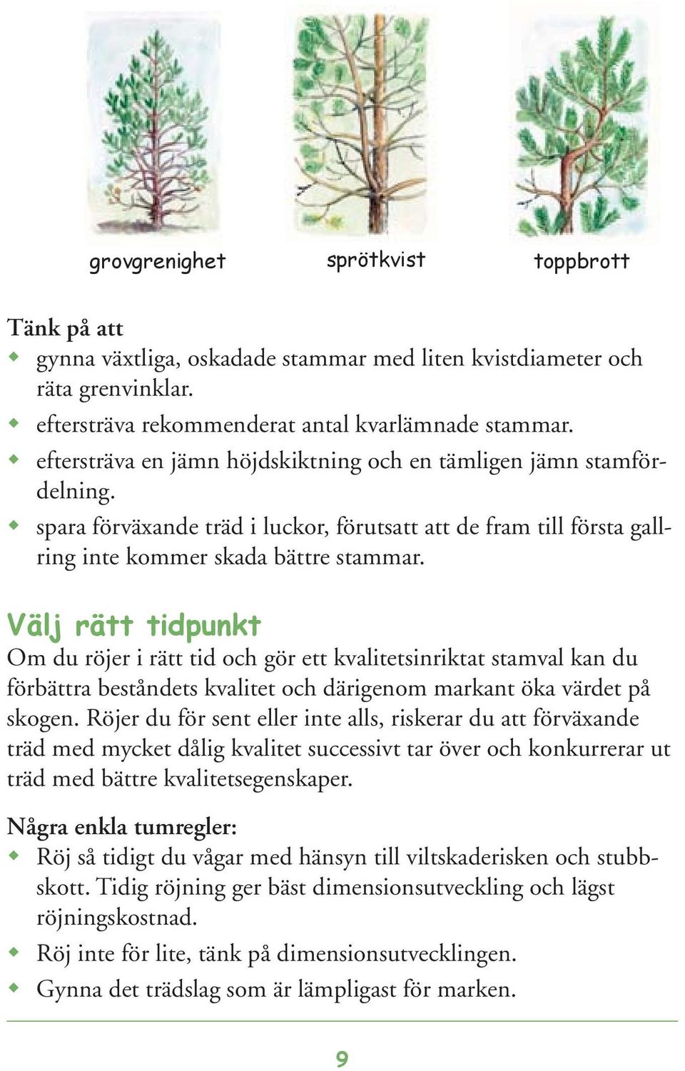 Välj rätt tidpunkt Om du röjer i rätt tid och gör ett kvalitetsinriktat stamval kan du förbättra beståndets kvalitet och därigenom markant öka värdet på skogen.