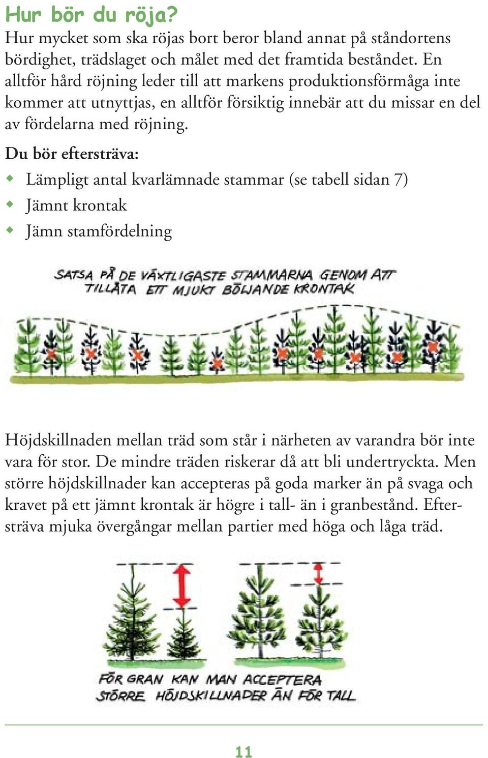 Du bör eftersträva: Lämpligt antal kvarlämnade stammar (se tabell sidan 7) Jämnt krontak Jämn stamfördelning Höjdskillnaden mellan träd som står i närheten av varandra bör inte vara för