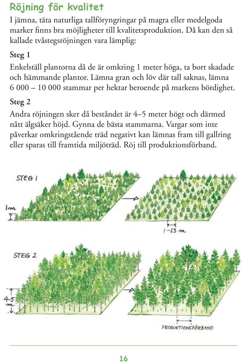 Lämna gran och löv där tall saknas, lämna 6 000 10 000 stammar per hektar beroende på markens bördighet.