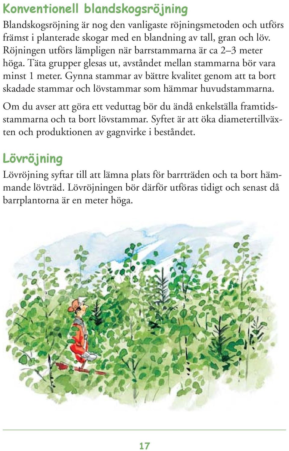 Gynna stammar av bättre kvalitet genom att ta bort skadade stammar och lövstammar som hämmar huvudstammarna.