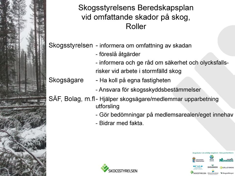 stormfälld skog - Ha koll på egna fastigheten - Ansvara för skogsskyddsbestämmelser SÄF, Bolag, m.