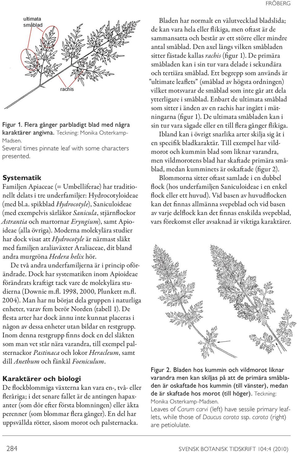 Moderna molekylära studier har dock visat att Hydrocotyle är närmast släkt med familjen araliaväxter Araliaceae, dit bland andra murgröna Hedera helix hör.