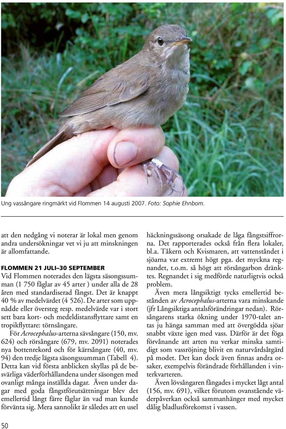 De arter som uppnådde eller översteg resp. medelvärde var i stort sett bara kort- och medeldistansflyttare samt en tropikflyttare: törnsångare. För Acrocephalus-arterna sävsångare (150, mv.