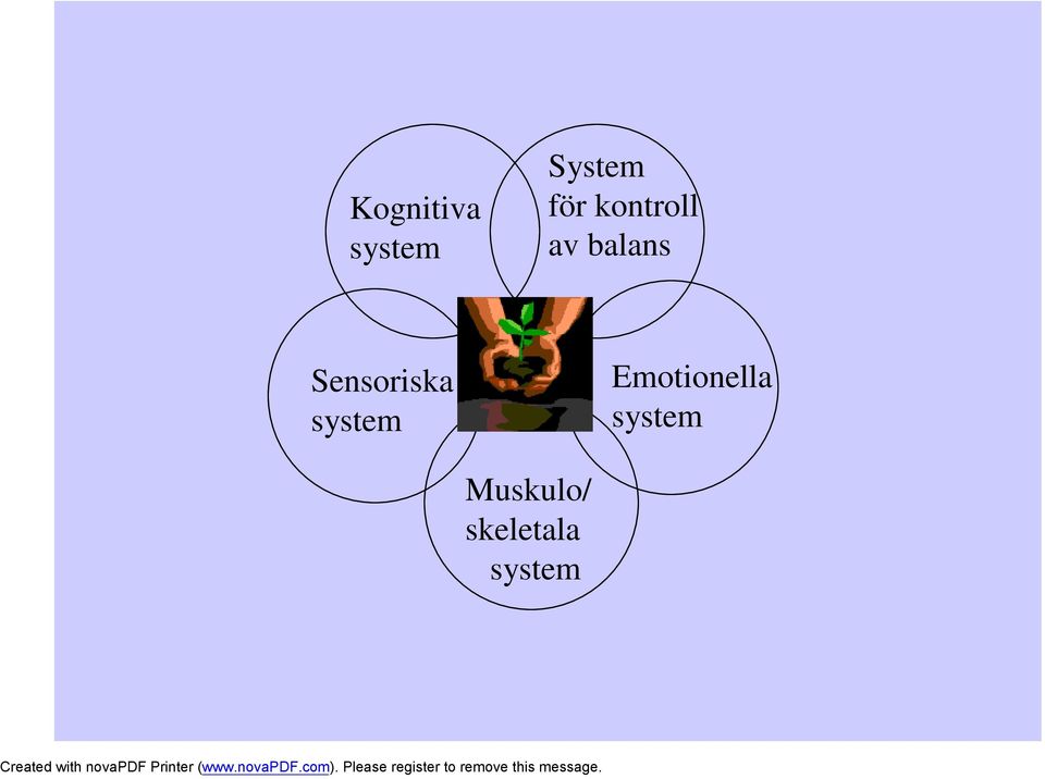 Sensoriska system