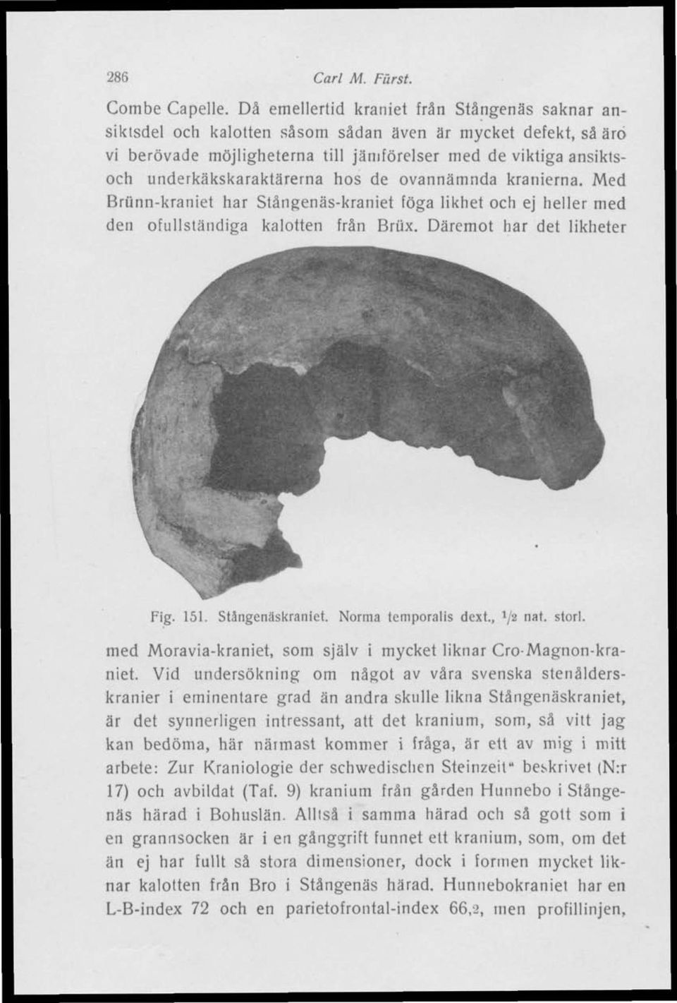 underkäkskaraktärerna hos de ovannämnda kranierna. Med Brunn-kraniet har Stängenäs-kraniet föga likhet och ej heller med den ofullständiga kalotten från Briix. Däremot har det likheter Fig. 151.