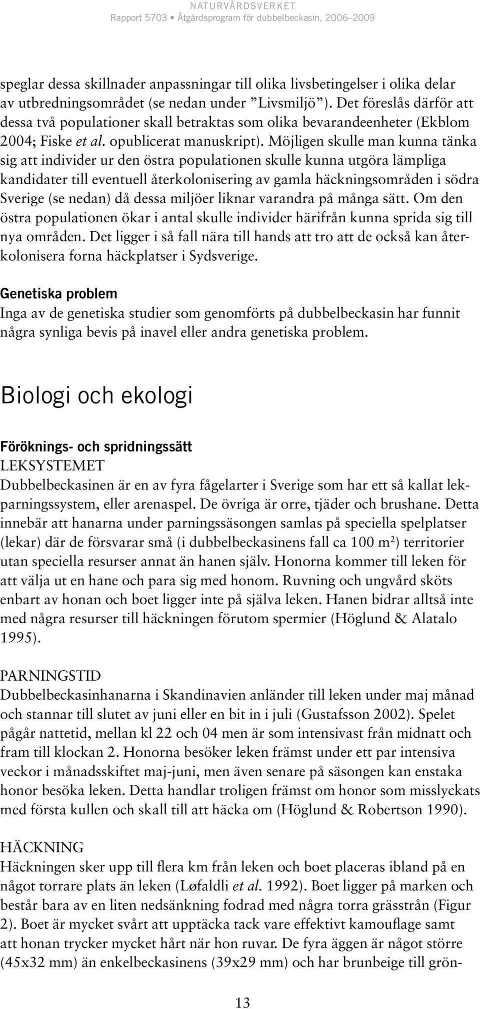 Möjligen skulle man kunna tänka sig att individer ur den östra populationen skulle kunna utgöra lämpliga kandidater till eventuell återkolonisering av gamla häckningsområden i södra Sverige (se