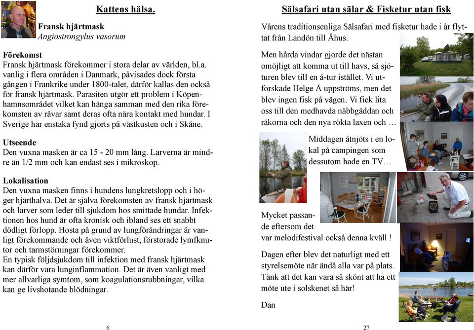 I Sverige har enstaka fynd gjorts på västkusten och i Skåne. Utseende Den vuxna masken är ca 15-20 mm lång. Larverna är mindre än 1/2 mm och kan endast ses i mikroskop.