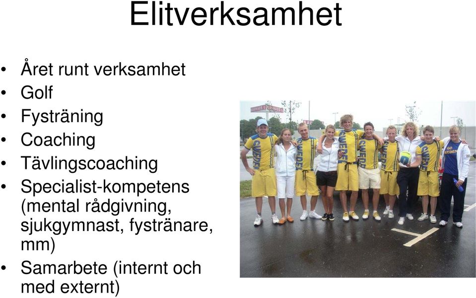 rådgivning, sjukgymnast, fystränare, mm)